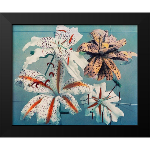 Lily II Black Modern Wood Framed Art Print by Kazumasa, Ogawa