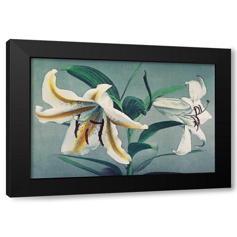 Lily V Black Modern Wood Framed Art Print with Double Matting by Kazumasa, Ogawa