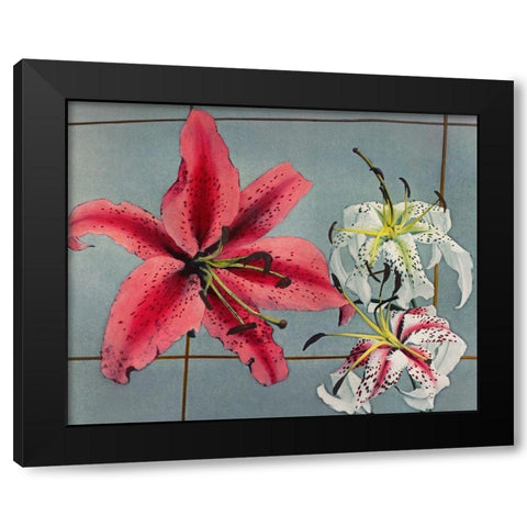 Lily IX Black Modern Wood Framed Art Print with Double Matting by Kazumasa, Ogawa