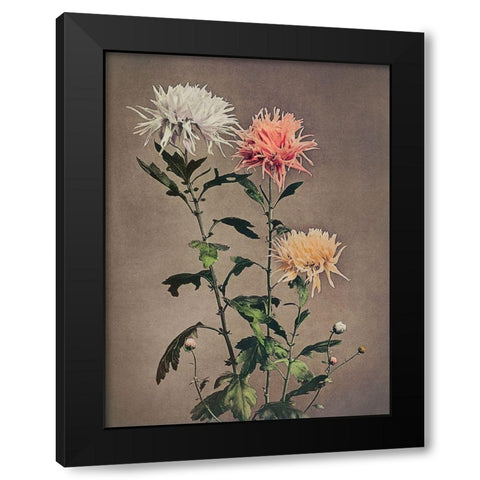 Kin Sui Ro Black Modern Wood Framed Art Print with Double Matting by Kazumasa, Ogawa