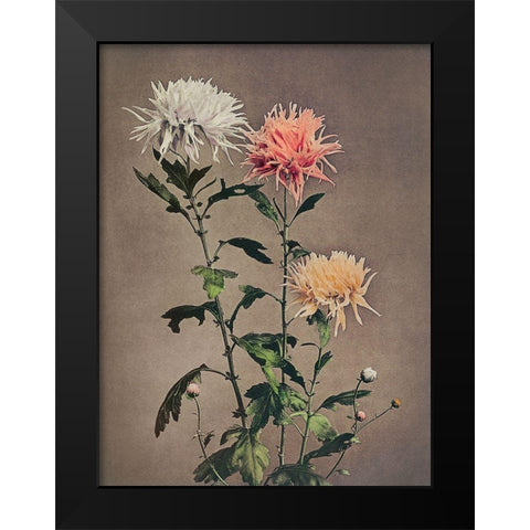 Kin Sui Ro Black Modern Wood Framed Art Print by Kazumasa, Ogawa