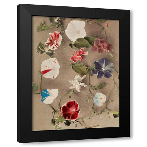 Group of Morning Glories Black Modern Wood Framed Art Print with Double Matting by Kazumasa, Ogawa