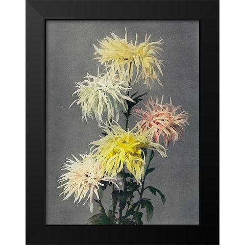 Nami Chi Dori Black Modern Wood Framed Art Print by Kazumasa, Ogawa