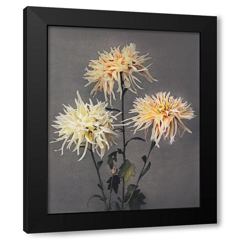 Imo se Yama Black Modern Wood Framed Art Print with Double Matting by Kazumasa, Ogawa