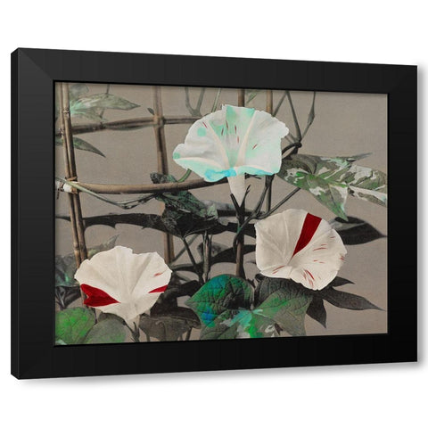 Morning Glory Black Modern Wood Framed Art Print by Kazumasa, Ogawa