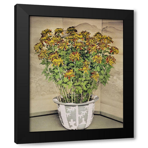 Chrysanthemum Black Modern Wood Framed Art Print with Double Matting by Kazumasa, Ogawa