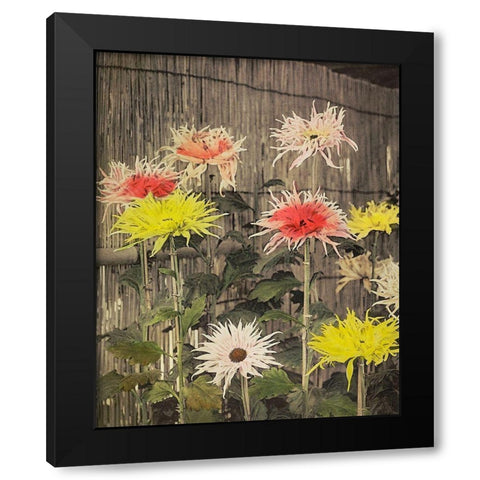 Tsuzure no Nishiki Black Modern Wood Framed Art Print with Double Matting by Kazumasa, Ogawa