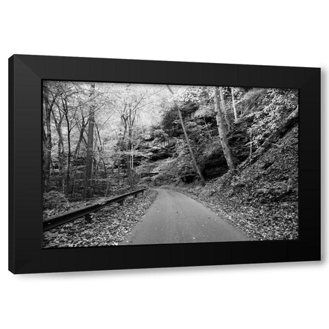 Picturesque road to Nuttallburg Black Modern Wood Framed Art Print with Double Matting by Highsmith, Carol