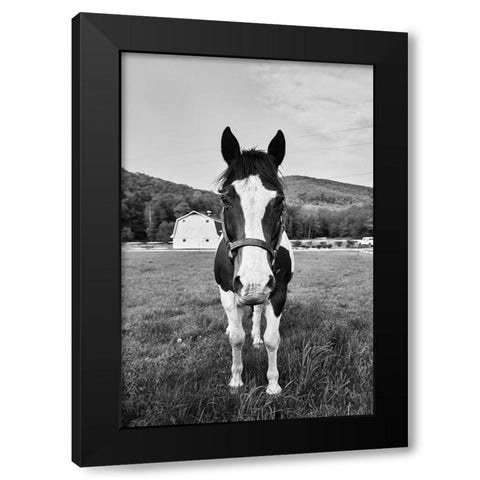 Painted Horse Black Modern Wood Framed Art Print by Highsmith, Carol