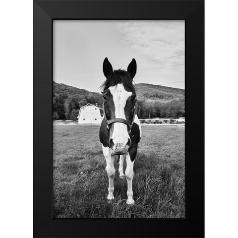 Painted Horse Black Modern Wood Framed Art Print by Highsmith, Carol