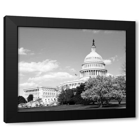 Capitol Hill Washington D.C. in cherry blossom season Black Modern Wood Framed Art Print by Highsmith, Carol