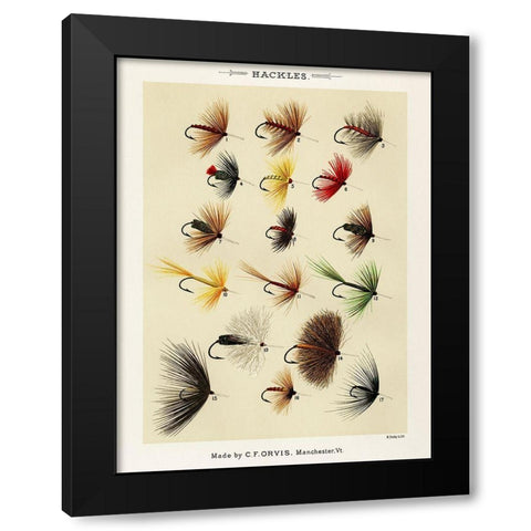 Hackles from Favorite Flies and Their Histories Black Modern Wood Framed Art Print with Double Matting by Marbury, Mary Orvis