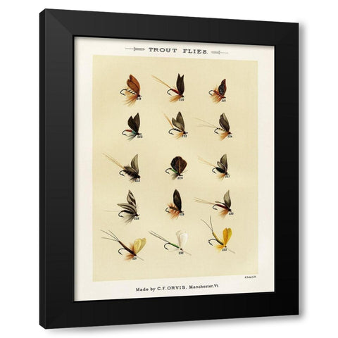 Trout Fishing Flies VII from Favorite Flies and Their Histories Black Modern Wood Framed Art Print with Double Matting by Marbury, Mary Orvis