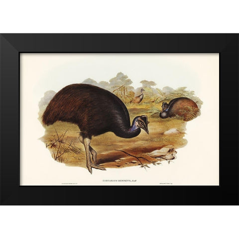 Bennetts Cassowary-Casuarius Bennetti Black Modern Wood Framed Art Print by Gould, John