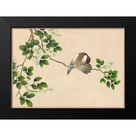 Preening Bird Black Modern Wood Framed Art Print by Ruoai, Zhang