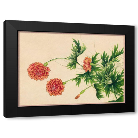 Peony Black Modern Wood Framed Art Print with Double Matting by Ruoai, Zhang