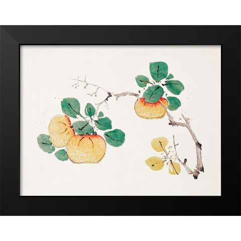 Page from Shi Zhu Zhai Orange Fruit Black Modern Wood Framed Art Print by Zhengyan, Hu