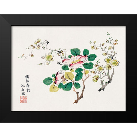 Page from Shi Zhu Zhai Pink Blossoms Black Modern Wood Framed Art Print by Zhengyan, Hu