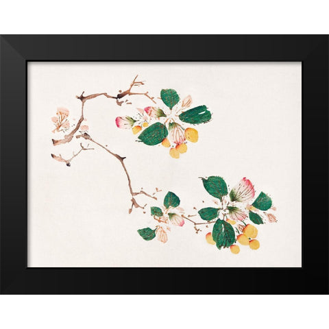 Page from Shi Zhu Zhai Golden Fruit Black Modern Wood Framed Art Print by Zhengyan, Hu