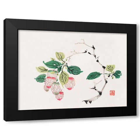 Page from Shi Zhu Zhai Red Fruit Bunch Black Modern Wood Framed Art Print with Double Matting by Zhengyan, Hu