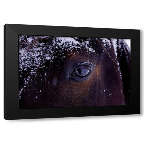 Winter Eye Black Modern Wood Framed Art Print by The Yellowstone Collection