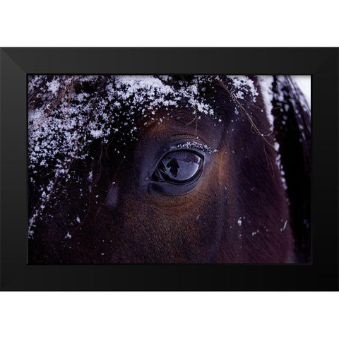 Winter Eye Black Modern Wood Framed Art Print by The Yellowstone Collection
