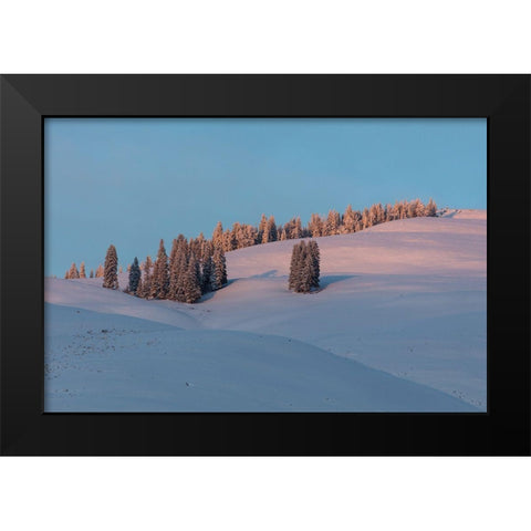 Last Light on Flanks of Bison Peak, Yellowstone National Park Black Modern Wood Framed Art Print by The Yellowstone Collection