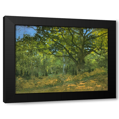 Bodmer Oak at Bas-Breau 1865 Black Modern Wood Framed Art Print by Monet, Claude