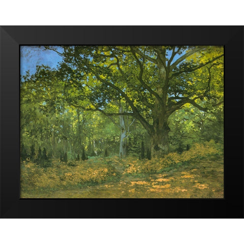 Bodmer Oak at Bas-Breau 1865 Black Modern Wood Framed Art Print by Monet, Claude