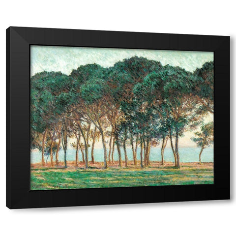 Umbrella Pines-Antibes 1888 Black Modern Wood Framed Art Print with Double Matting by Monet, Claude