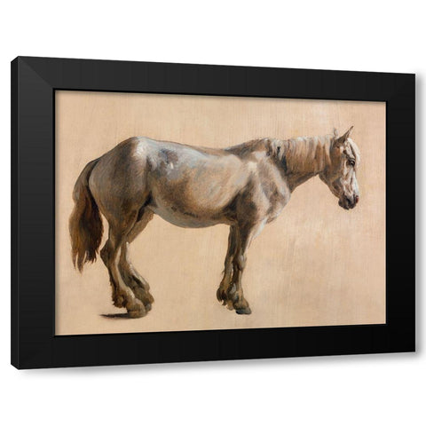 Study of a Grey Horse 1800 Black Modern Wood Framed Art Print with Double Matting by Agasse, Jacques-Laurent