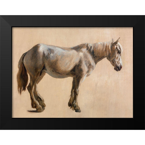 Study of a Grey Horse 1800 Black Modern Wood Framed Art Print by Agasse, Jacques-Laurent