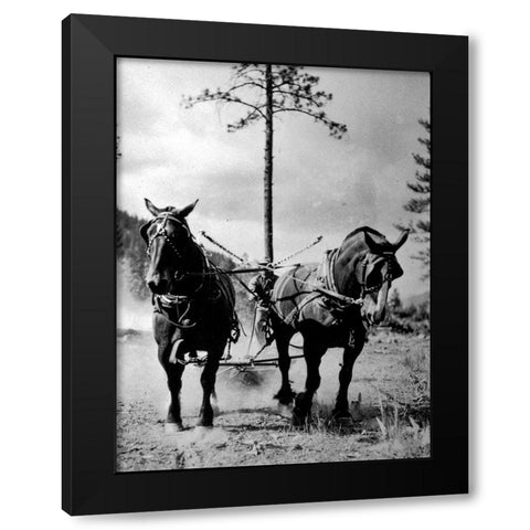 Eight Mile Fire Team Black Modern Wood Framed Art Print by Vintage Photography