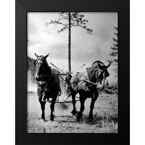 Eight Mile Fire Team Black Modern Wood Framed Art Print by Vintage Photography