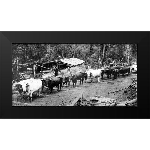 Logging with Ox Teams Black Modern Wood Framed Art Print by Vintage Photography