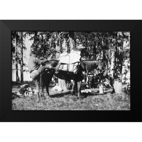 Mule Packing Black Modern Wood Framed Art Print by Vintage Photography