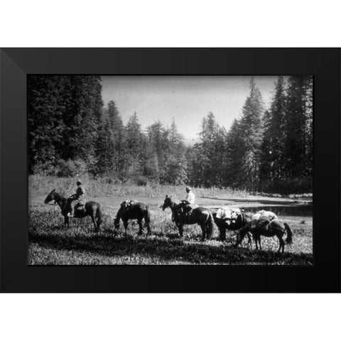 Small Meadow Black Modern Wood Framed Art Print by Vintage Photography