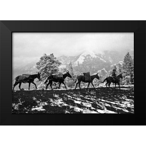 Winter Mule Packing Black Modern Wood Framed Art Print by Vintage Photography