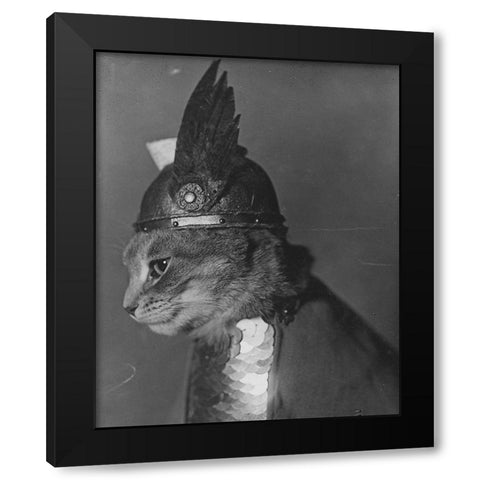Brunnhilde the Cat Black Modern Wood Framed Art Print by Vintage Photography