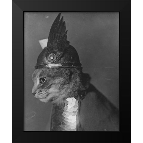 Brunnhilde the Cat Black Modern Wood Framed Art Print by Vintage Photography