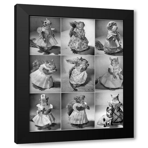 Tommy Tucker the Pet Squirrel 1944 Black Modern Wood Framed Art Print by Vintage Photography