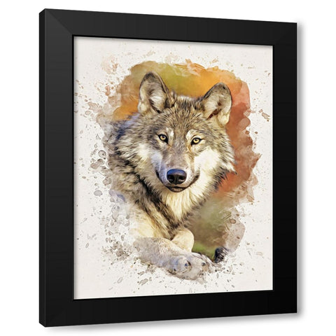Gray Wolf Black Modern Wood Framed Art Print by Alpenglow Workshop