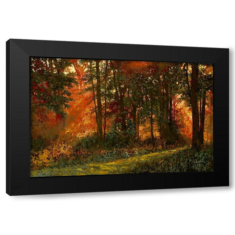 Luci Nel Bosco Black Modern Wood Framed Art Print by Borelli, Guido