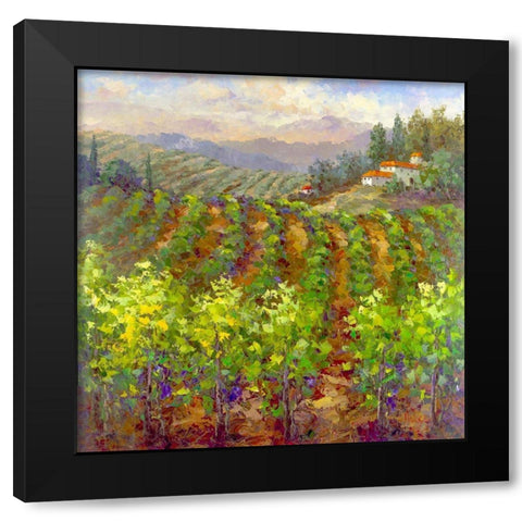Vineyard Villa Black Modern Wood Framed Art Print with Double Matting by Hulsey