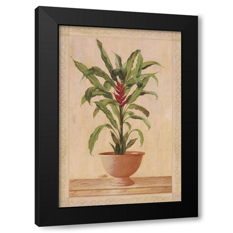 Potted Palm II Black Modern Wood Framed Art Print with Double Matting by Welby