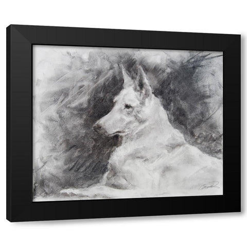 White Shepherd in Grey Black Modern Wood Framed Art Print by Campbell, Robert
