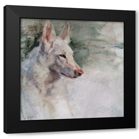 White Shepherd Wonder Black Modern Wood Framed Art Print with Double Matting by Campbell, Robert