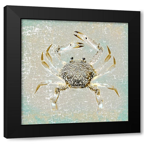 Aqua Marine XIV Black Modern Wood Framed Art Print with Double Matting by Aryai, Sia