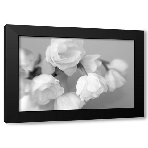 WhiteTulips Black Modern Wood Framed Art Print with Double Matting by Stalus, Judy