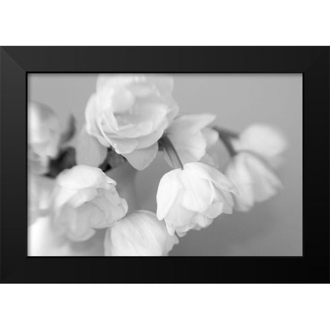 WhiteTulips Black Modern Wood Framed Art Print by Stalus, Judy